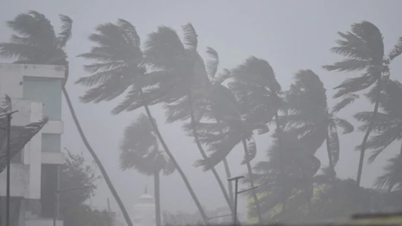 ശക്തമായ കാറ്റിനും മോശം കാലാവസ്ഥയ്ക്കും സാധ്യത; ഇന്നും നാളെയും മത്സ്യബന്ധനത്തിന് വിലക്ക് ശക്തമായ കാറ്റിനും മോശം കാലാവസ്ഥയ്ക്കും സാധ്യത; ഇന്നും നാളെയും മത്സ്യബന്ധനത്തിന് വിലക്ക്