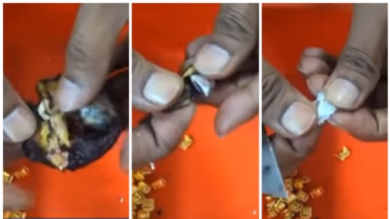 ഗള്ഫില് നിന്നെത്തിയത് ഈന്തപ്പഴവുമായി; കാസര്കോട് സ്വദേശി വിമാനത്താവളത്തിലെ പരിശോധനയില് കുടുങ്ങി ഗള്ഫില് നിന്നെത്തിയത് ഈന്തപ്പഴവുമായി; കാസര്കോട് സ്വദേശി വിമാനത്താവളത്തിലെ പരിശോധനയില് കുടുങ്ങി