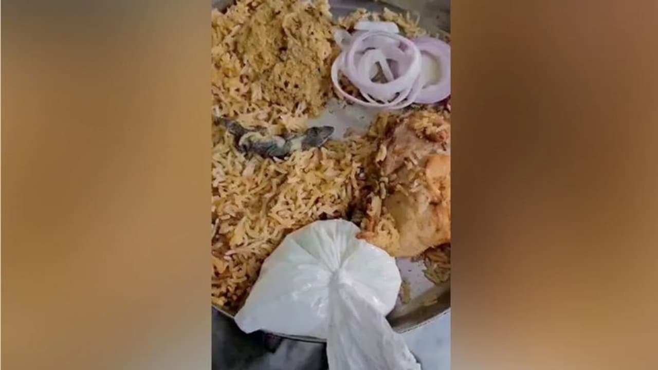 Viral video: Hyderabad man orders biryani, finds dead lizard in it; leaves internet disgusted (WATCH) Viral video: Hyderabad man orders biryani, finds dead lizard in it; leaves internet disgusted (WATCH)