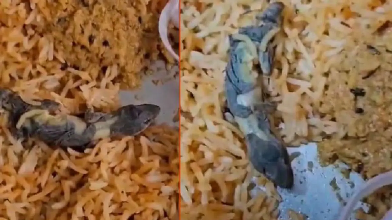 Zomatoದಲ್ಲಿ ಹೈದರಾಬಾದ್ನ ಫೇಮಸ್ ರೆಸ್ಟೋರೆಂಟ್ ಬಾವರ್ಚಿಯಿಂದ ಆರ್ಡರ್ ಮಾಡಿದ್ದ ಬಿರಿಯಾನಿಯಲ್ಲಿ ಹಲ್ಲಿ Zomatoದಲ್ಲಿ ಹೈದರಾಬಾದ್ನ ಫೇಮಸ್ ರೆಸ್ಟೋರೆಂಟ್ ಬಾವರ್ಚಿಯಿಂದ ಆರ್ಡರ್ ಮಾಡಿದ್ದ ಬಿರಿಯಾನಿಯಲ್ಲಿ ಹಲ್ಲಿ