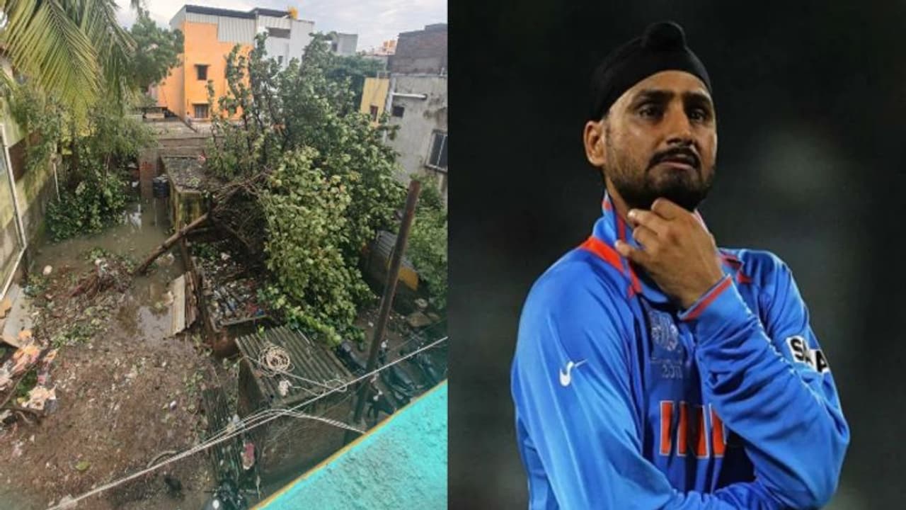 Chennai Floods: மிக்ஜம் புயல் பாதிப்பு சென்னை மக்களுக்கு தைரியம் கொடுத்த ஹர்பஜன் சிங்! Chennai Floods: மிக்ஜம் புயல் பாதிப்பு சென்னை மக்களுக்கு தைரியம் கொடுத்த ஹர்பஜன் சிங்!