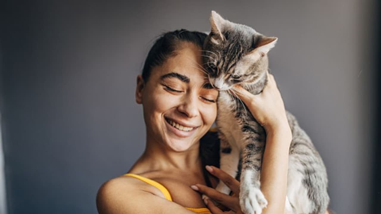 പൂച്ചകള്ക്കുള്ള 34 വര്ഷത്തെ വിലക്ക് നീക്കി സിംഗപ്പൂര്: പക്ഷേ, വ്യവസ്ഥ ലംക്ഷിച്ചാല് 'കൈ പൊള്ളും' ! പൂച്ചകള്ക്കുള്ള 34 വര്ഷത്തെ വിലക്ക് നീക്കി സിംഗപ്പൂര്: പക്ഷേ, വ്യവസ്ഥ ലംക്ഷിച്ചാല് 'കൈ പൊള്ളും' !