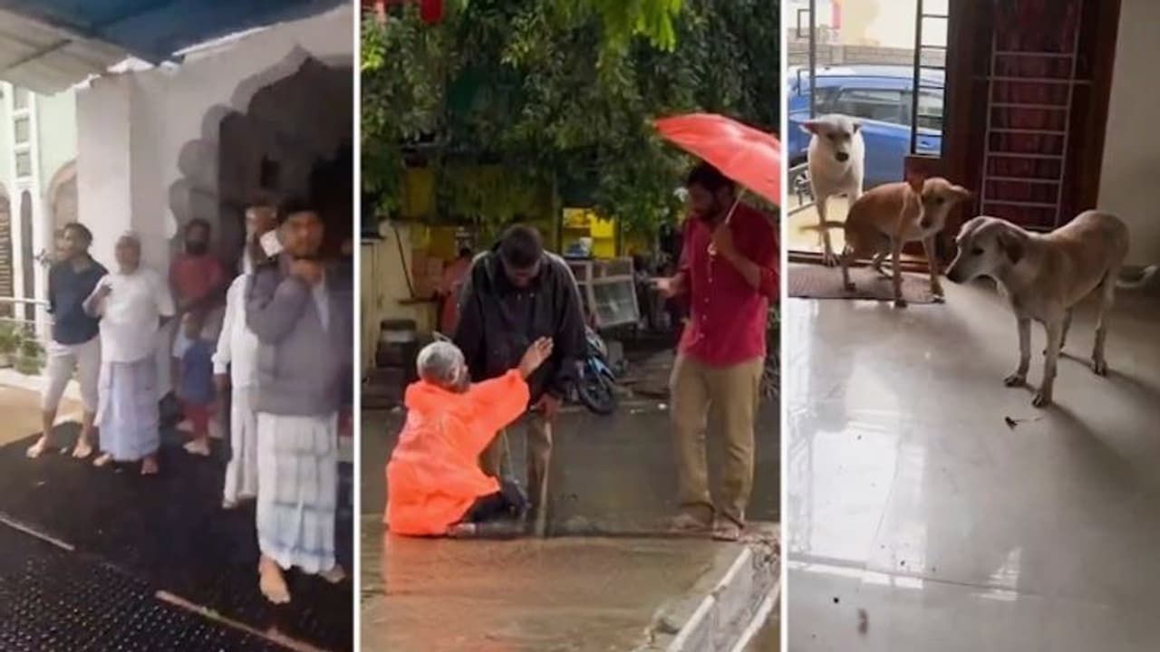 Chennai unites amid floods: From helping homeless to stray dogs, heartwarming videos of solidarity go viral