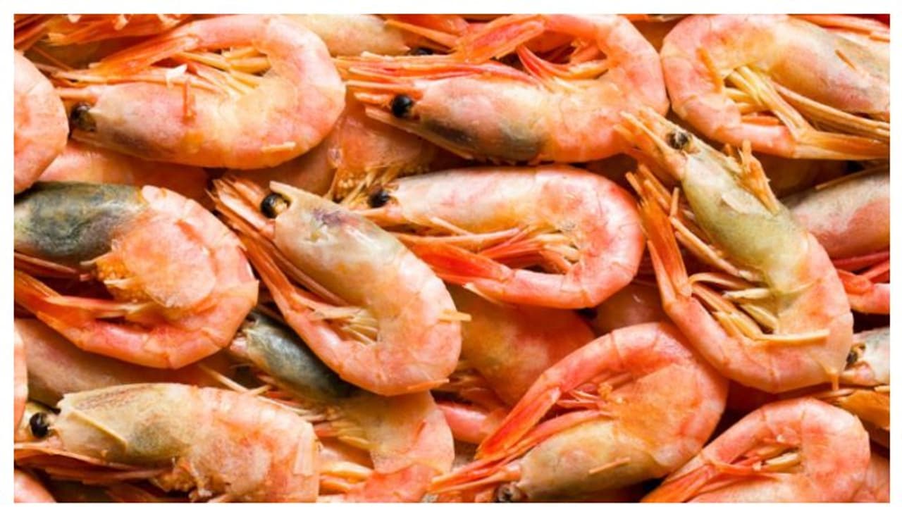 ചെമ്മീന് പിടിക്കുന്നതിനും വ്യാപാരത്തിനും നിരോധനം ഏര്പ്പെടുത്തി; അറിയിപ്പുമായി മന്ത്രാലയം ചെമ്മീന് പിടിക്കുന്നതിനും വ്യാപാരത്തിനും നിരോധനം ഏര്പ്പെടുത്തി; അറിയിപ്പുമായി മന്ത്രാലയം