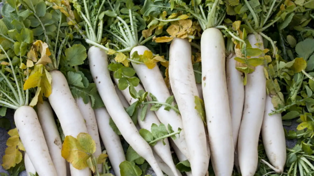 Winter Superfood Radish know about Benefits of This Vegetable bsm