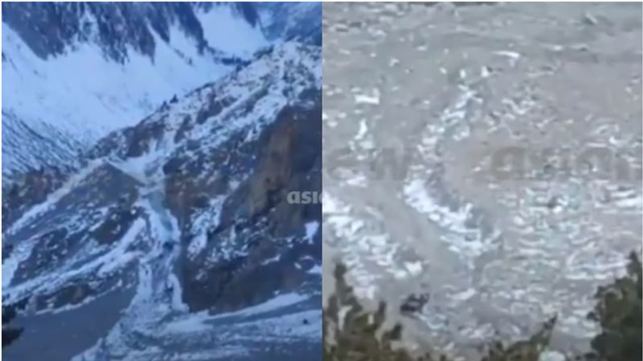 സ്വപ്നയാത്രയിൽ ദുരന്തം, മഞ്ഞിൽ തെന്നി വാഹനം കൊക്കയിൽ; കശ്മീരിൽ മരിച്ച 4 മലയാളികളുടെ പോസ്റ്റുമോർട്ടം ഇന്ന് സ്വപ്നയാത്രയിൽ ദുരന്തം, മഞ്ഞിൽ തെന്നി വാഹനം കൊക്കയിൽ; കശ്മീരിൽ മരിച്ച 4 മലയാളികളുടെ പോസ്റ്റുമോർട്ടം ഇന്ന്