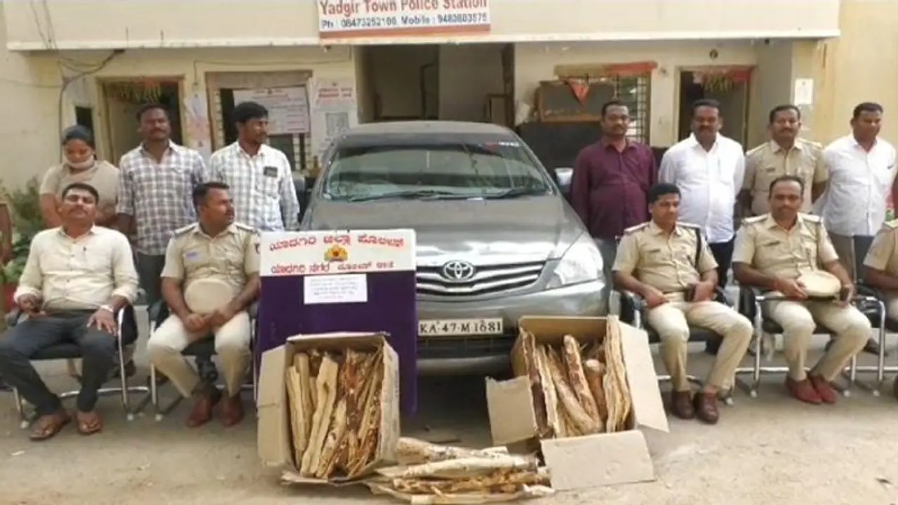 ಯಾದಗಿರಿ ಟು ಶಿವಮೊಗ್ಗ ಕಳ್ಳರ ಲಿಂಕ್ ಬೇಧಿಸಿದ ಯಾದಗಿರಿ ಪೋಲಿಸರು: 80 ಕೆಜಿ ಶ್ರೀಗಂಧ ಜಪ್ತಿ ಯಾದಗಿರಿ ಟು ಶಿವಮೊಗ್ಗ ಕಳ್ಳರ ಲಿಂಕ್ ಬೇಧಿಸಿದ ಯಾದಗಿರಿ ಪೋಲಿಸರು: 80 ಕೆಜಿ ಶ್ರೀಗಂಧ ಜಪ್ತಿ