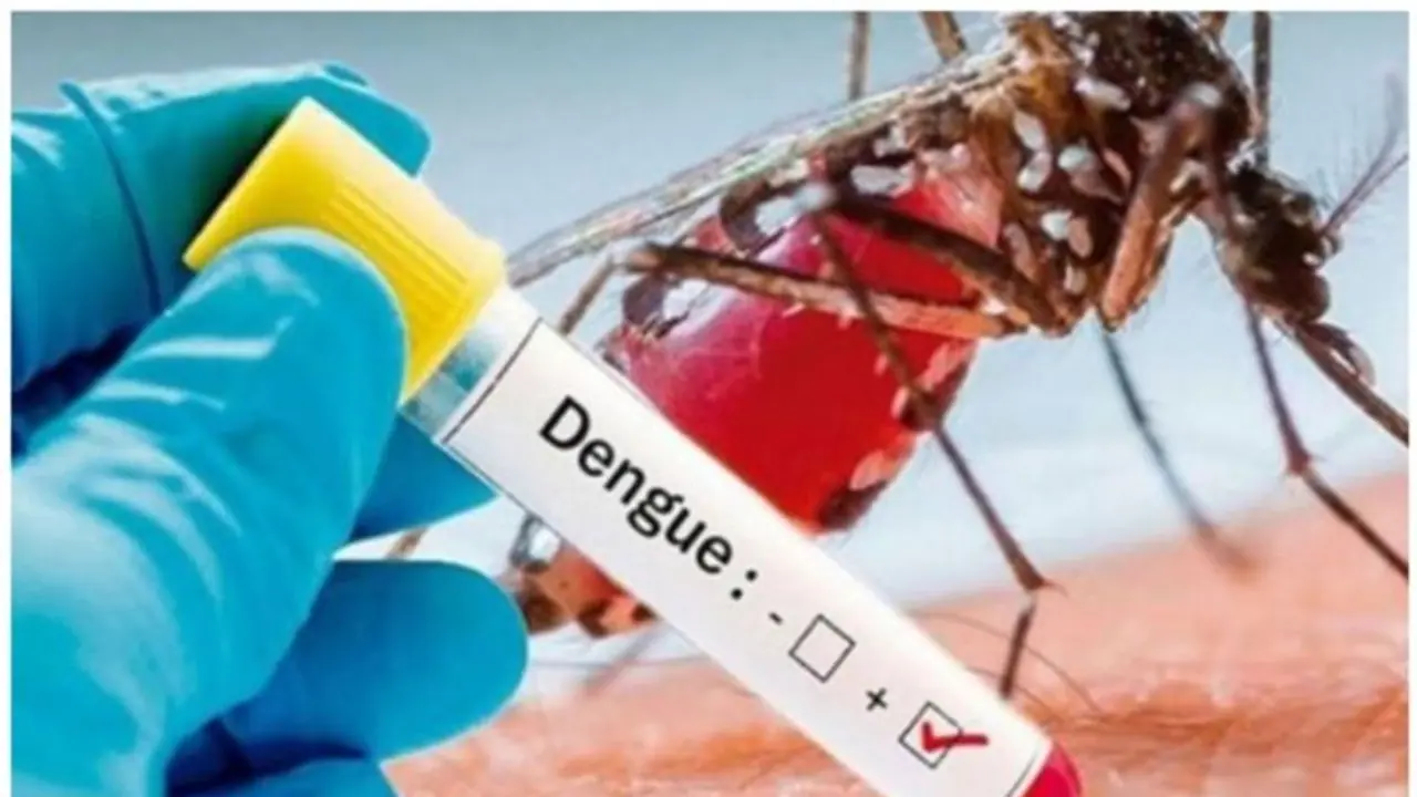 Karnataka battles Dengue surge: 5700 cases in 6 months, 5 fatalities including 1 in Bengaluru