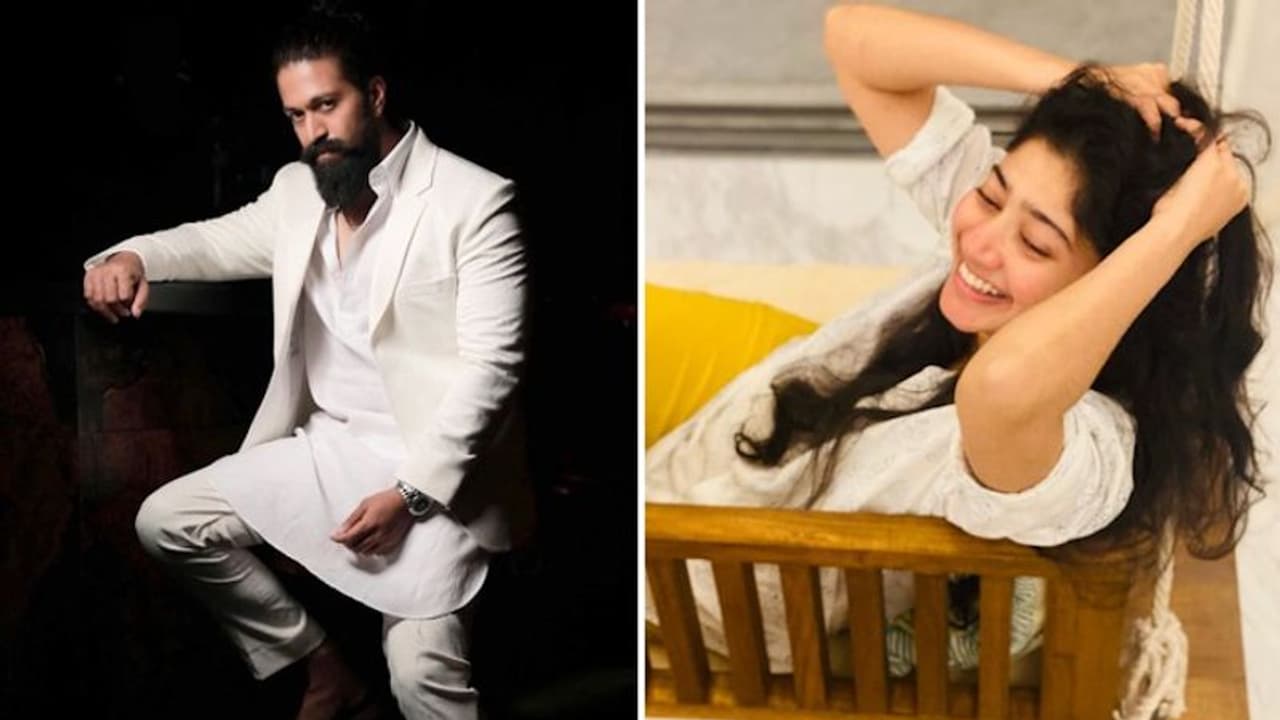 Yash 19: Sai Pallavi to unite with KGF star? Here's what we know Yash 19: Sai Pallavi to unite with KGF star? Here's what we know