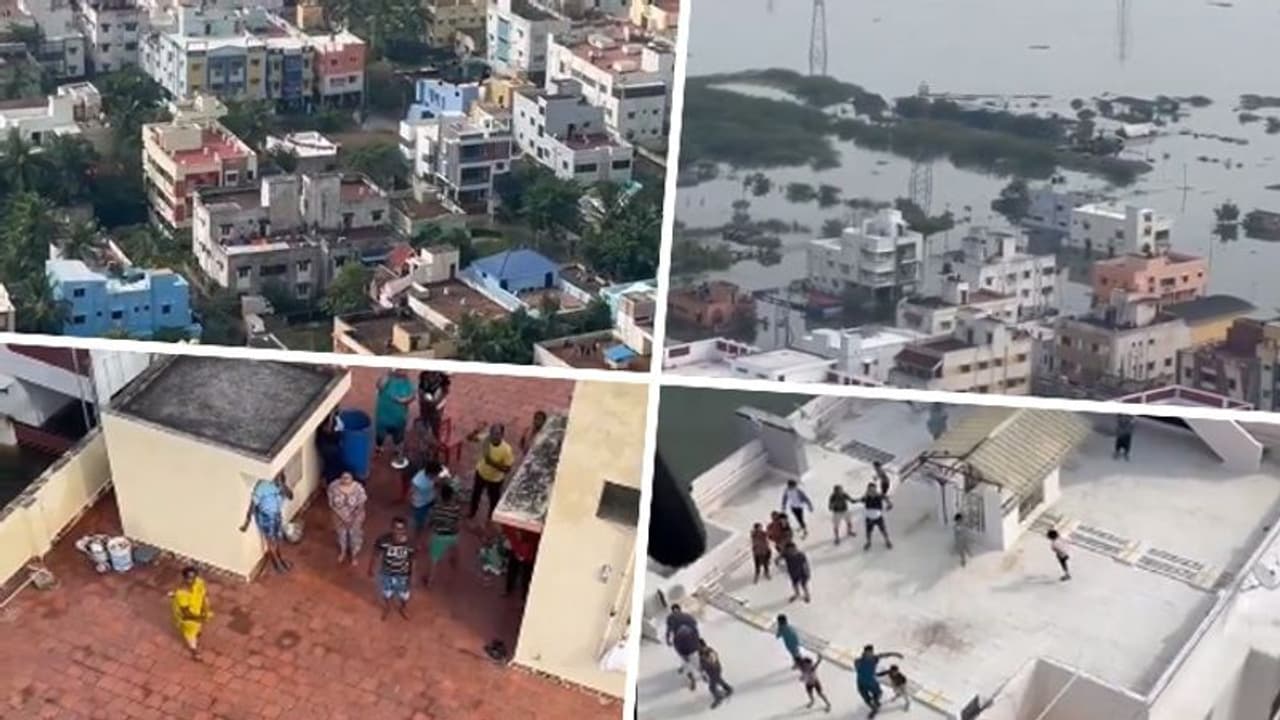 Cyclone Michaung: Indian Air Force conducts vital relief air drops across flood hit Chennai (WATCH) Cyclone Michaung: Indian Air Force conducts vital relief air drops across flood hit Chennai (WATCH)