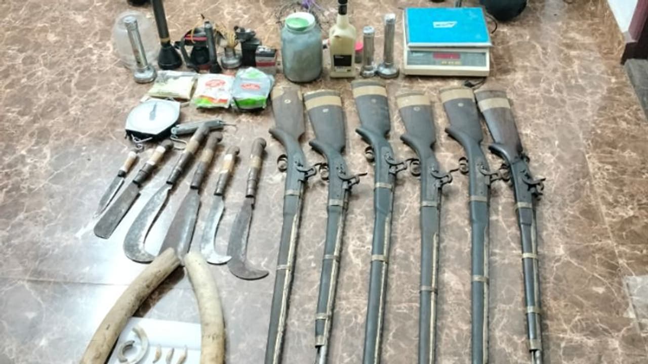 പുലിയുടെയും കരടിയുടെയും പല്ലുകൾ, ആനക്കൊമ്പ്, നാടൻ തോക്കുകൾ, ഡിജിറ്റൽ ത്രാസ്; പാലക്കാട് മൂന്ന് പേര് പിടിയിൽ പുലിയുടെയും കരടിയുടെയും പല്ലുകൾ, ആനക്കൊമ്പ്, നാടൻ തോക്കുകൾ, ഡിജിറ്റൽ ത്രാസ്; പാലക്കാട് മൂന്ന് പേര് പിടിയിൽ