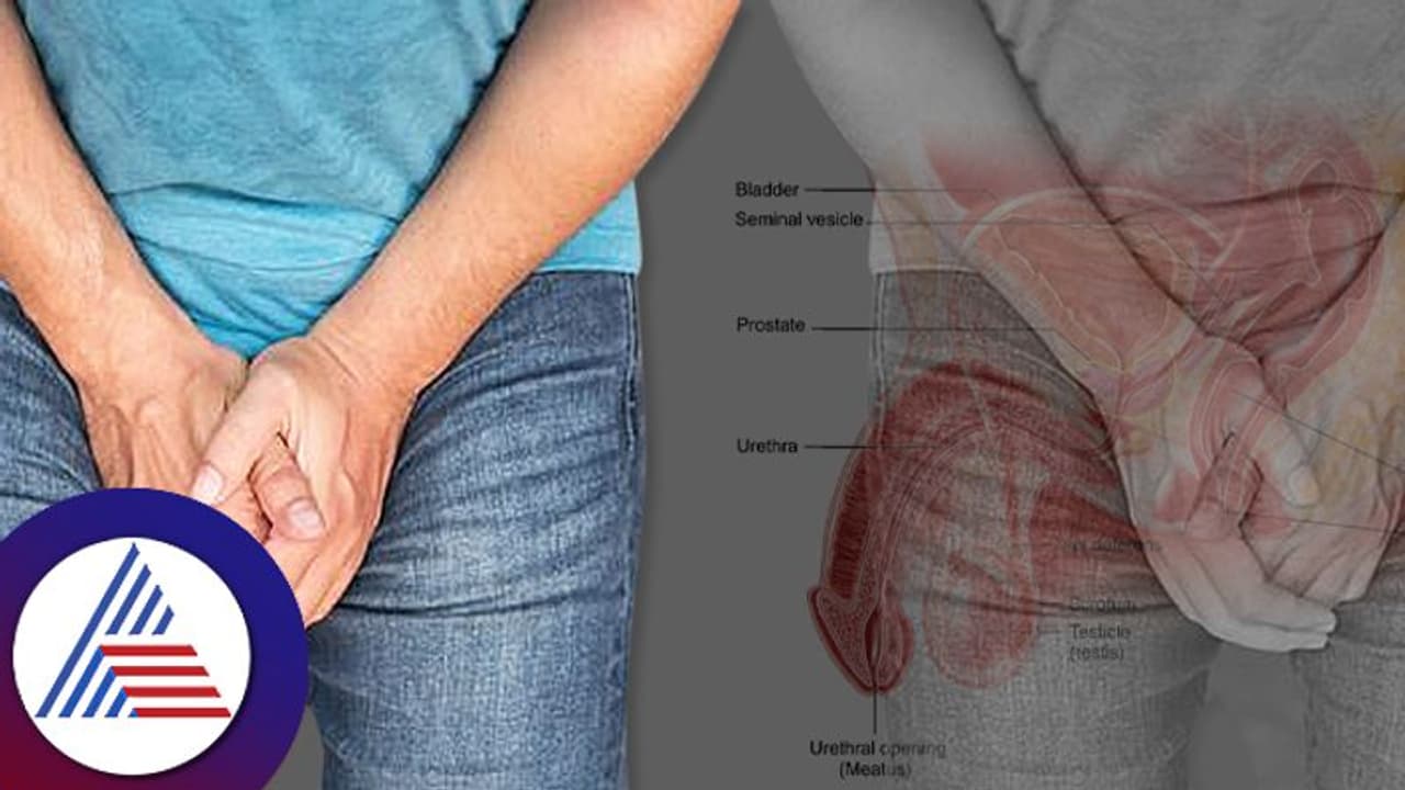 ದೊಡ್ಡ ವೃಷಣ ಇದೆಯೆಂದು ಬೀಗಬೇಡಿ, ಅಂಥವರಿಗೆ ಹೃದಯ ತೊಂದರೆ ಖಚಿತ! ದೊಡ್ಡ ವೃಷಣ ಇದೆಯೆಂದು ಬೀಗಬೇಡಿ, ಅಂಥವರಿಗೆ ಹೃದಯ ತೊಂದರೆ ಖಚಿತ!