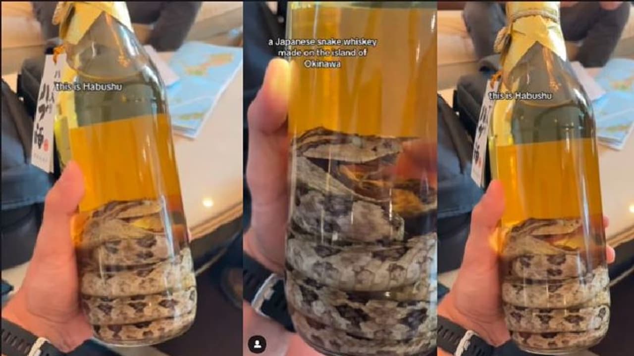 ಈ ದ್ವೀಪದಲ್ಲಿ ರೆಡಿಯಾಗುತ್ತೆ ಬುಸುಗುಡುವ ಹಾವಿನಿಂದ ಕಿಕ್ಕೇರುವ ವಿಸ್ಕಿ: ಹೇಗಿರುತ್ತೆ ನೋಡಿ ಈ ದ್ವೀಪದಲ್ಲಿ ರೆಡಿಯಾಗುತ್ತೆ ಬುಸುಗುಡುವ ಹಾವಿನಿಂದ ಕಿಕ್ಕೇರುವ ವಿಸ್ಕಿ: ಹೇಗಿರುತ್ತೆ ನೋಡಿ