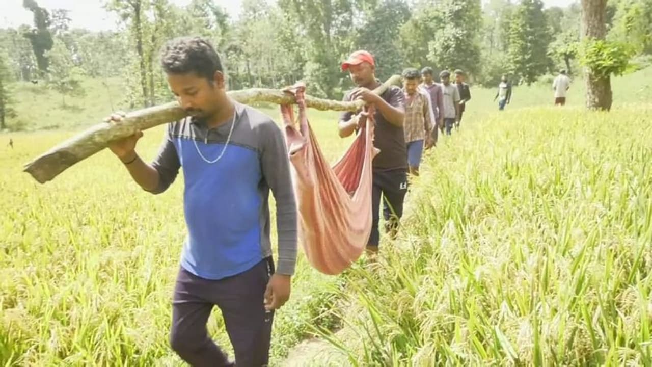 ರೋಗಿಗಳನ್ನು ಆಸ್ಪತ್ರೆಗೆ ಸೇರಿಸಲು ಜೋಲಿಯೇ ಗತಿ: ಗುಂಡಿಯ ನೀರೇ ಕೊಡಗಿನ ಸೂಳೆಭಾವಿ ಹಾಡಿ ಜನರಿಗೆ ಜೀವಜಲ!