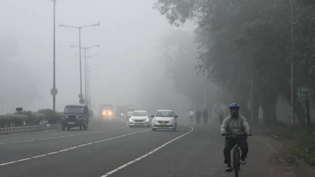 winter kolkata fog weather winter kolkata fog weather
