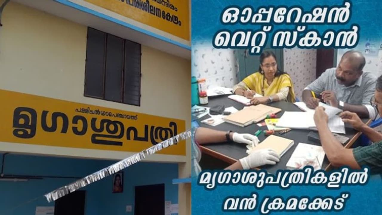 'വാങ്ങാത്ത മരുന്നിന് ബില്ല്, സ്വകാര്യ പ്രാക്ടീസ്, കണക്കില്ലാത്ത പണം'; മൃഗാശുപത്രികളിൽ പരിശോധന, ഞെട്ടി വിജിലൻസ്