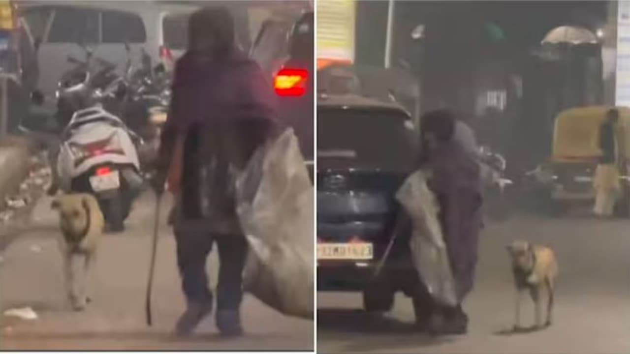 ಮತ್ತೊಂದು ಮದ್ವೆಯಾದ ಅಪ್ಪನಿಗೇ ಬೇಡವಾದ ಹೆತ್ತ ಮಗ, ಒಂದೂ ಕ್ಷಣವೂ ಬಿಡುತ್ತಿಲ್ಲ ನಿರ್ಗತಿಕ ಶ್ವಾನ! ಮತ್ತೊಂದು ಮದ್ವೆಯಾದ ಅಪ್ಪನಿಗೇ ಬೇಡವಾದ ಹೆತ್ತ ಮಗ, ಒಂದೂ ಕ್ಷಣವೂ ಬಿಡುತ್ತಿಲ್ಲ ನಿರ್ಗತಿಕ ಶ್ವಾನ!