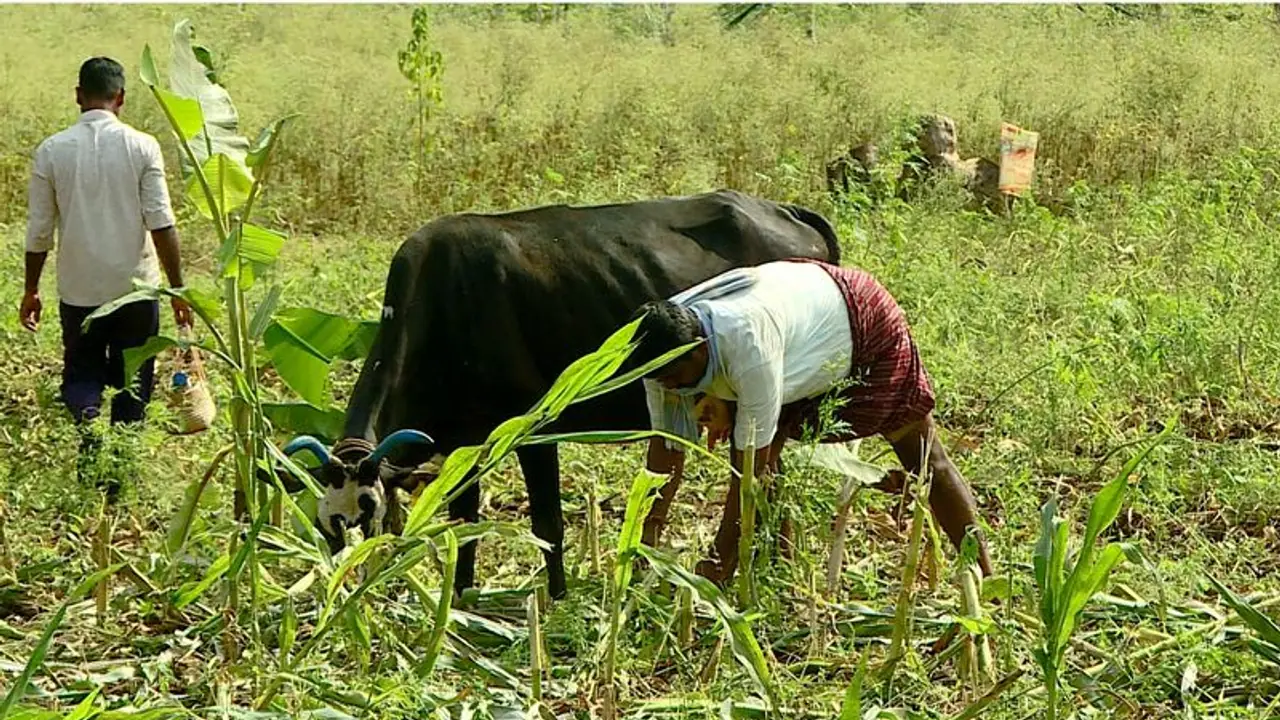 PM KISAN: PM Modi releases 17th instalment today; How to check beneficiary status and more