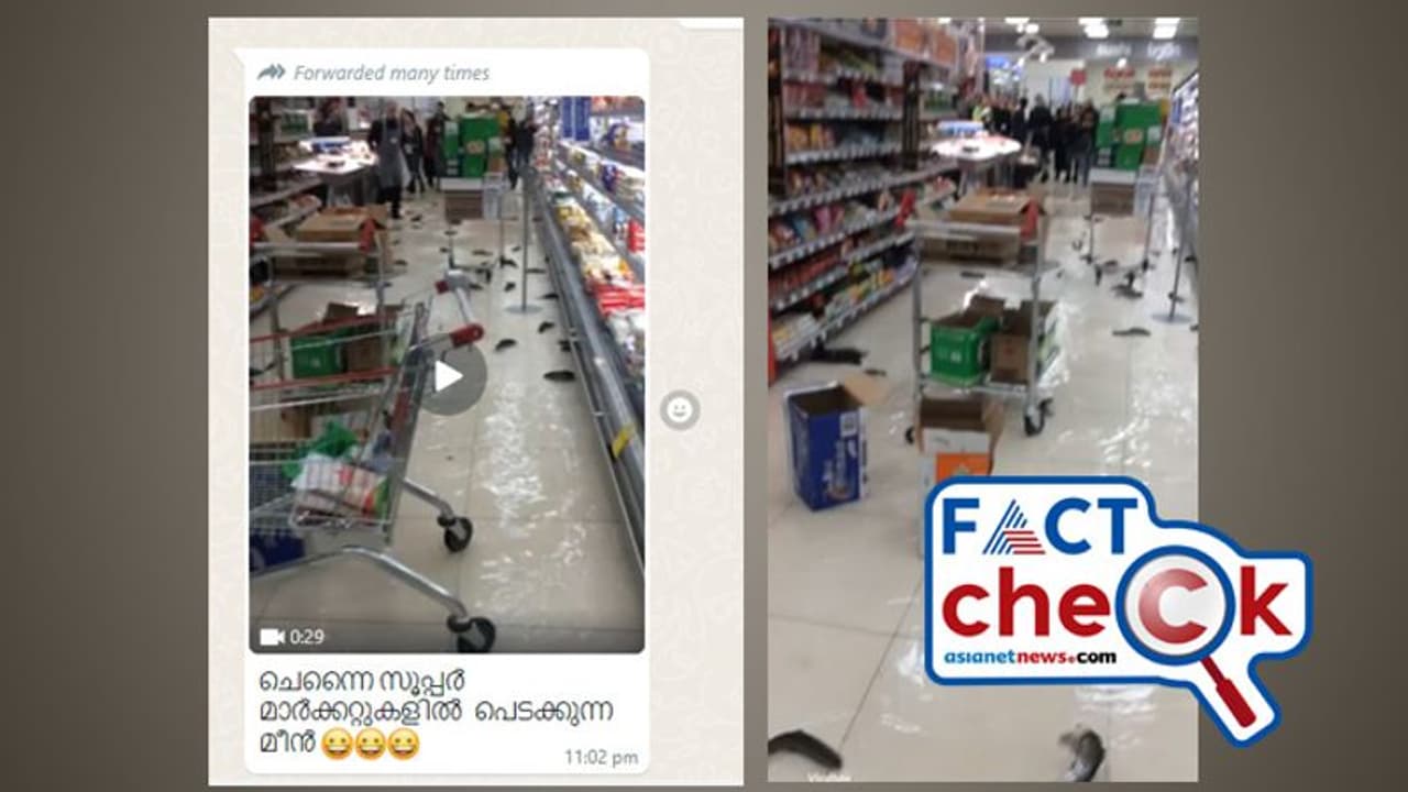 കനത്ത മഴയില് പുഴയായി സൂപ്പര്മാര്ക്കറ്റ്; തറയില് മീനുകളുടെ നീരാട്ട് വീഡിയോ ചെന്നൈയില് നിന്ന്? Fact Check കനത്ത മഴയില് പുഴയായി സൂപ്പര്മാര്ക്കറ്റ്; തറയില് മീനുകളുടെ നീരാട്ട് വീഡിയോ ചെന്നൈയില് നിന്ന്? Fact Check