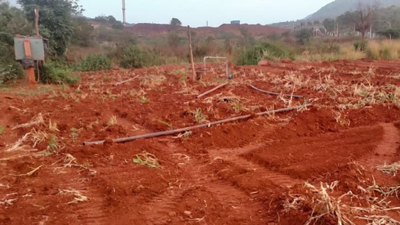 ತುರುವೇಕೆರೆ : ಒತ್ತುವರಿಯಾಗಿದ್ದ ಸರ್ಕಾರಿ ಜಾಗ ತೆರುವು ತುರುವೇಕೆರೆ : ಒತ್ತುವರಿಯಾಗಿದ್ದ ಸರ್ಕಾರಿ ಜಾಗ ತೆರುವು