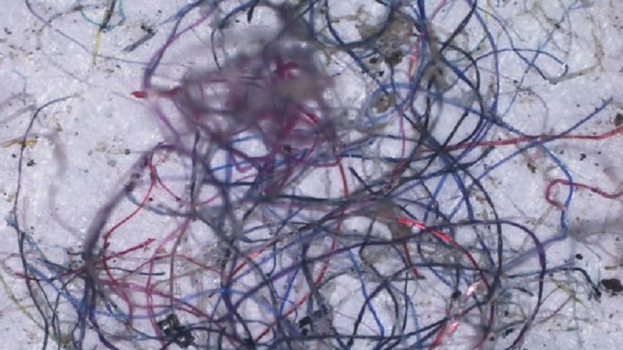 மைக்ரோபிளாஸ்டிக்ஸ் மாசுபாடு: வீடுகளுக்கு முக்கிய பங்கு ஐஐடி ஆய்வில் தகவல்! மைக்ரோபிளாஸ்டிக்ஸ் மாசுபாடு: வீடுகளுக்கு முக்கிய பங்கு ஐஐடி ஆய்வில் தகவல்!