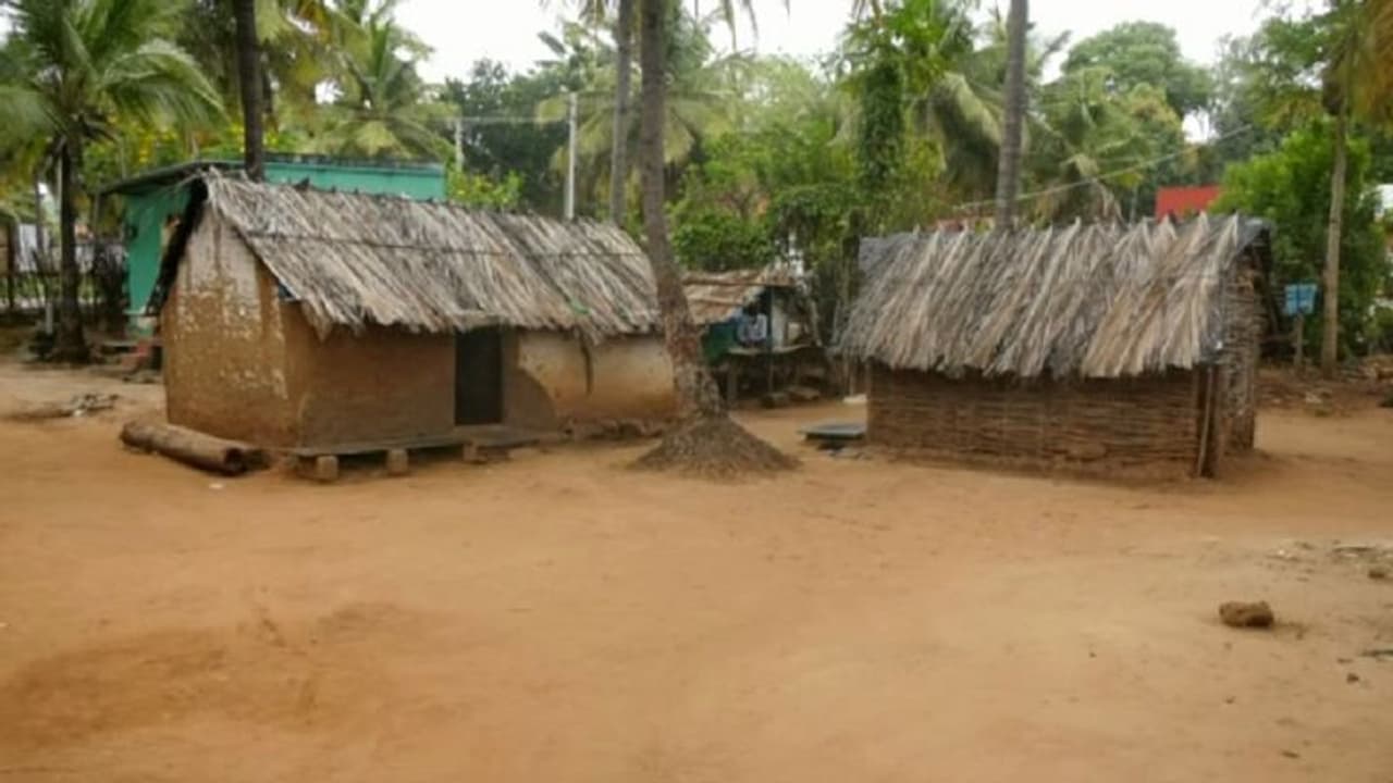 Chamarajanagar: ಸ್ವಾತಂತ್ರ್ಯ ಬಂದು 76 ವರ್ಷ ಕಳೆದರು ಇನ್ನೂ ಗುಡಿಸಲುಗಳಲ್ಲೇ ಬುಡಕಟ್ಟು ಸೋಲಿಗರ ವಾಸ! Chamarajanagar: ಸ್ವಾತಂತ್ರ್ಯ ಬಂದು 76 ವರ್ಷ ಕಳೆದರು ಇನ್ನೂ ಗುಡಿಸಲುಗಳಲ್ಲೇ ಬುಡಕಟ್ಟು ಸೋಲಿಗರ ವಾಸ!