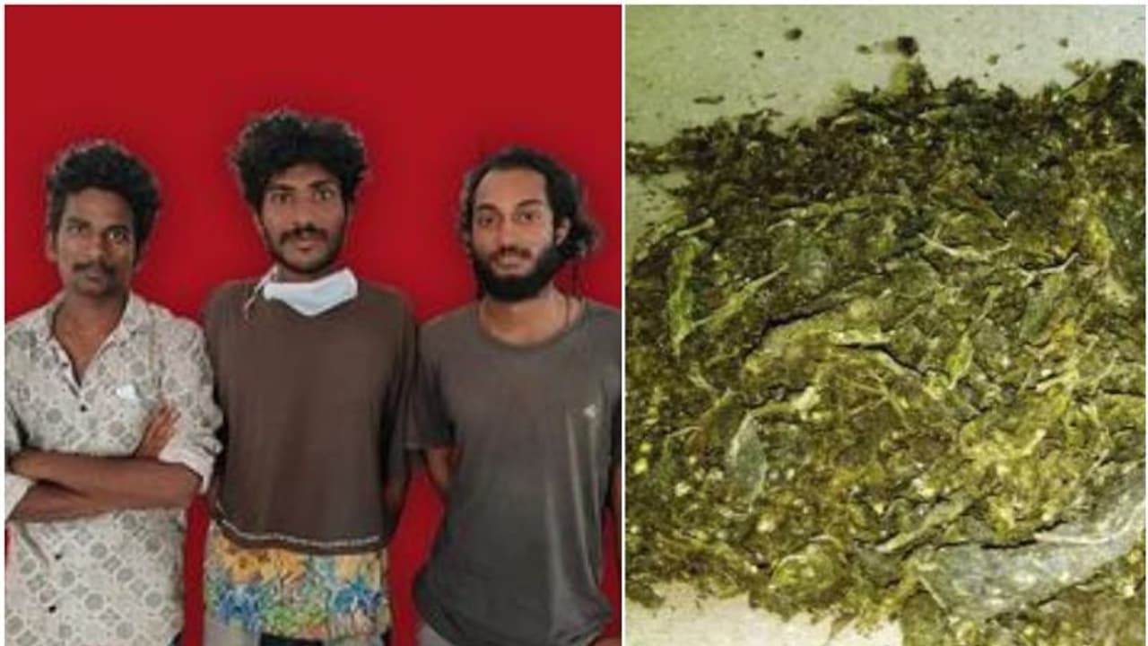 'മക്കളെ..പറക്കാം, നീന്താമെന്നൊക്കെ കേട്ട് ഇറങ്ങി തിരിക്കല്ലേ..' കഞ്ചാവുമായി യുവാക്കളെ പിടികൂടി എക്സൈസ് 'മക്കളെ..പറക്കാം, നീന്താമെന്നൊക്കെ കേട്ട് ഇറങ്ങി തിരിക്കല്ലേ..' കഞ്ചാവുമായി യുവാക്കളെ പിടികൂടി എക്സൈസ്