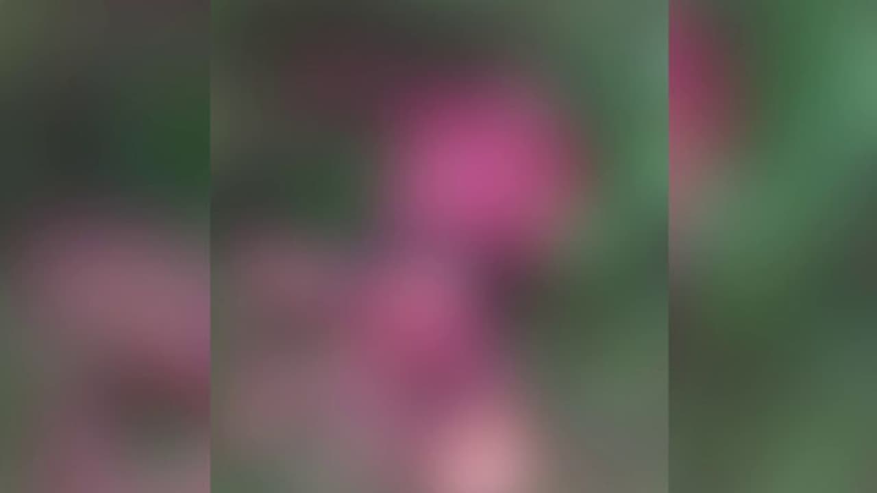  വയനാട്ടില്‍ യുവാവിനെ കടുവ കടിച്ചു കൊന്നു ; പാതി ഭക്ഷിച്ച നിലയില്‍ മൃതദേഹം കണ്ടെത്തി