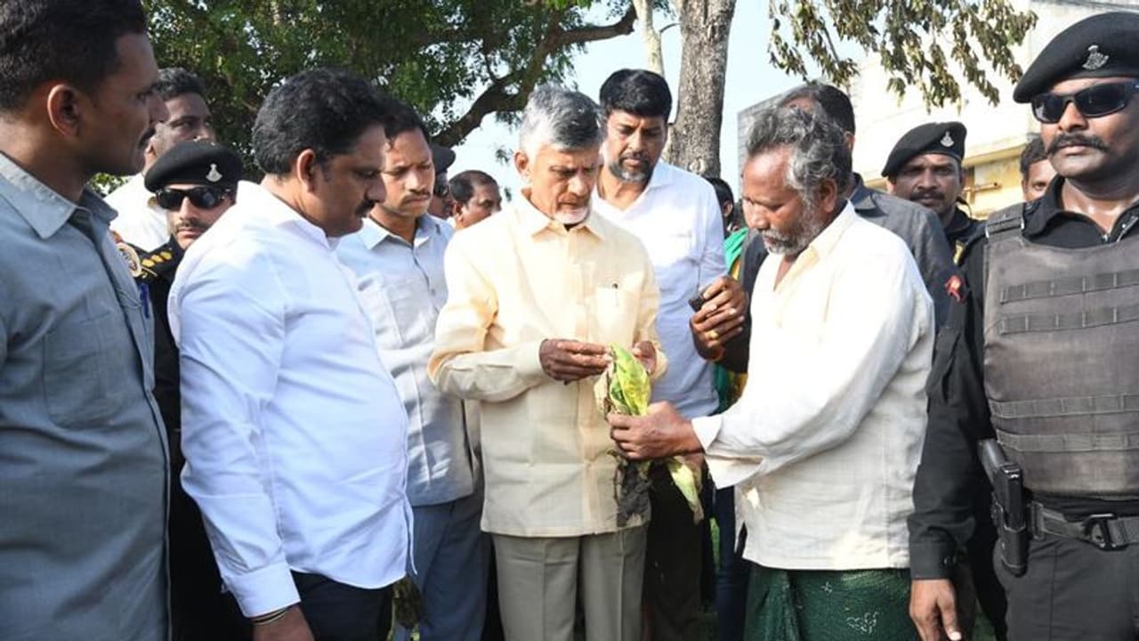 TDP YSRCP : ఎన్నికలప్పుడు ముద్దులు .. తర్వాత గుద్దులు : జగన్‌పై చంద్రబాబు సెటైర్లు