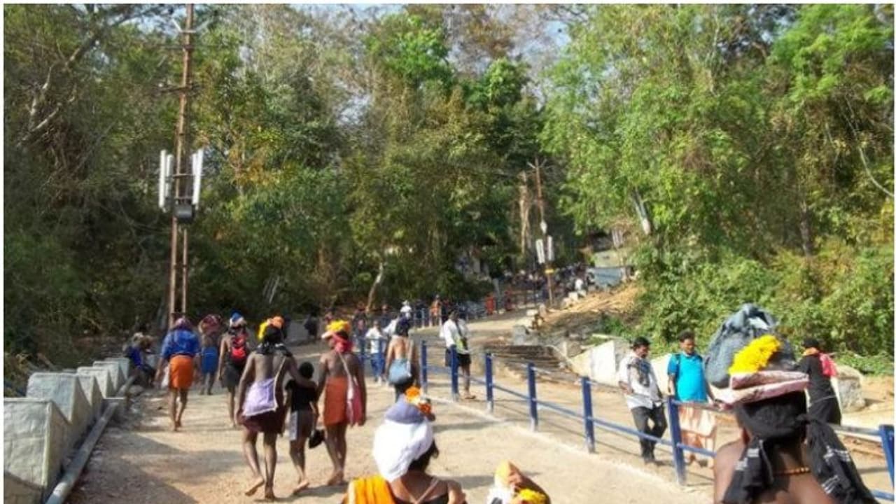 ശബരിമലയിൽ മരച്ചില്ല വീണ് തീർത്ഥാടകന് പരിക്കേറ്റു