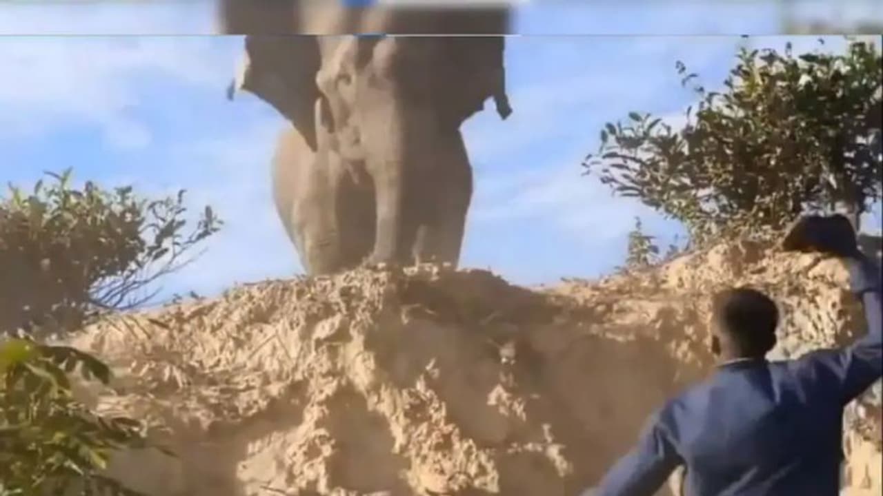 'വന്യമൃഗങ്ങളോട് ഇങ്ങനെ പെരുമാറരുത്, ഇതൊരു പാഠം'; വീഡിയോ വൈറല്... 'വന്യമൃഗങ്ങളോട് ഇങ്ങനെ പെരുമാറരുത്, ഇതൊരു പാഠം'; വീഡിയോ വൈറല്...