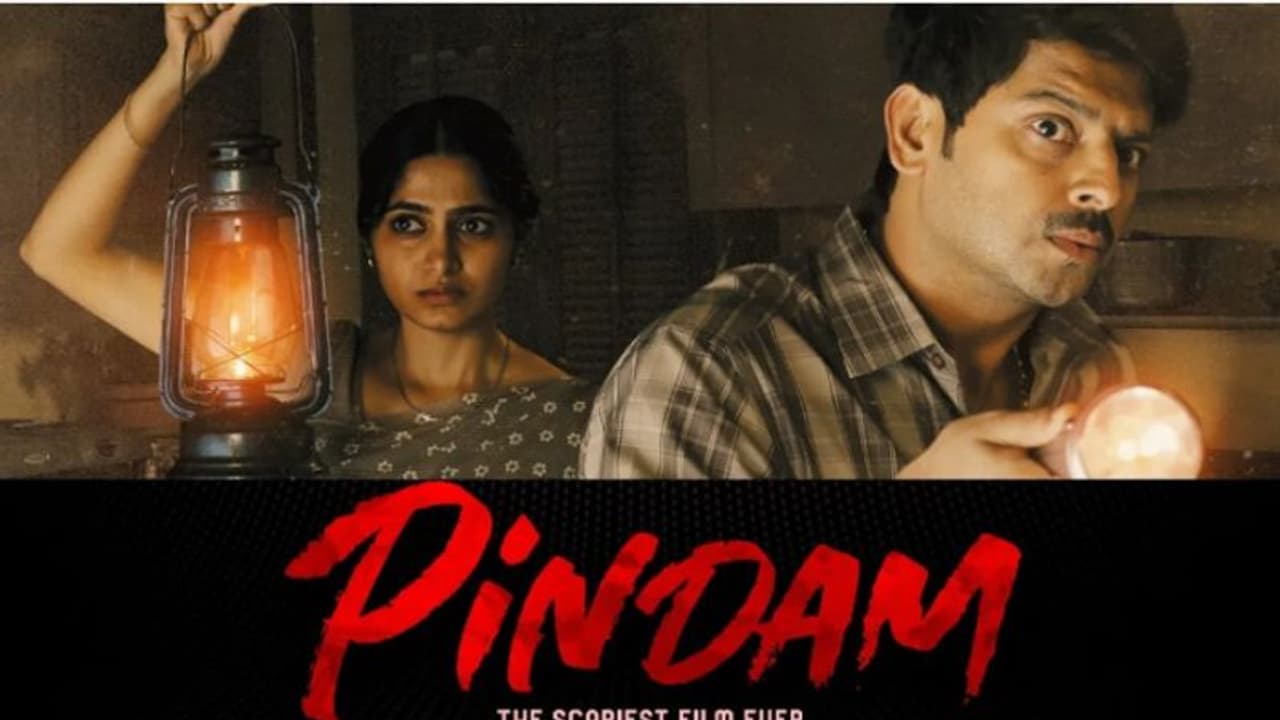 Pindam REVIEW: Is Sriram Srikanth, Kushee's horror movie, worth your money? Read this 