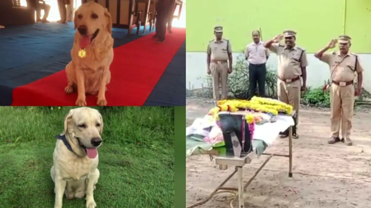 ഇന്സ്പെക്ടര് 'കല്യാണി'യുടെ മരണം കൊലപാതകമോ?, ദുരൂഹത ബാക്കി, മൂന്ന് പൊലീസുകാര്ക്കെതിരെ നടപടി ഇന്സ്പെക്ടര് 'കല്യാണി'യുടെ മരണം കൊലപാതകമോ?, ദുരൂഹത ബാക്കി, മൂന്ന് പൊലീസുകാര്ക്കെതിരെ നടപടി