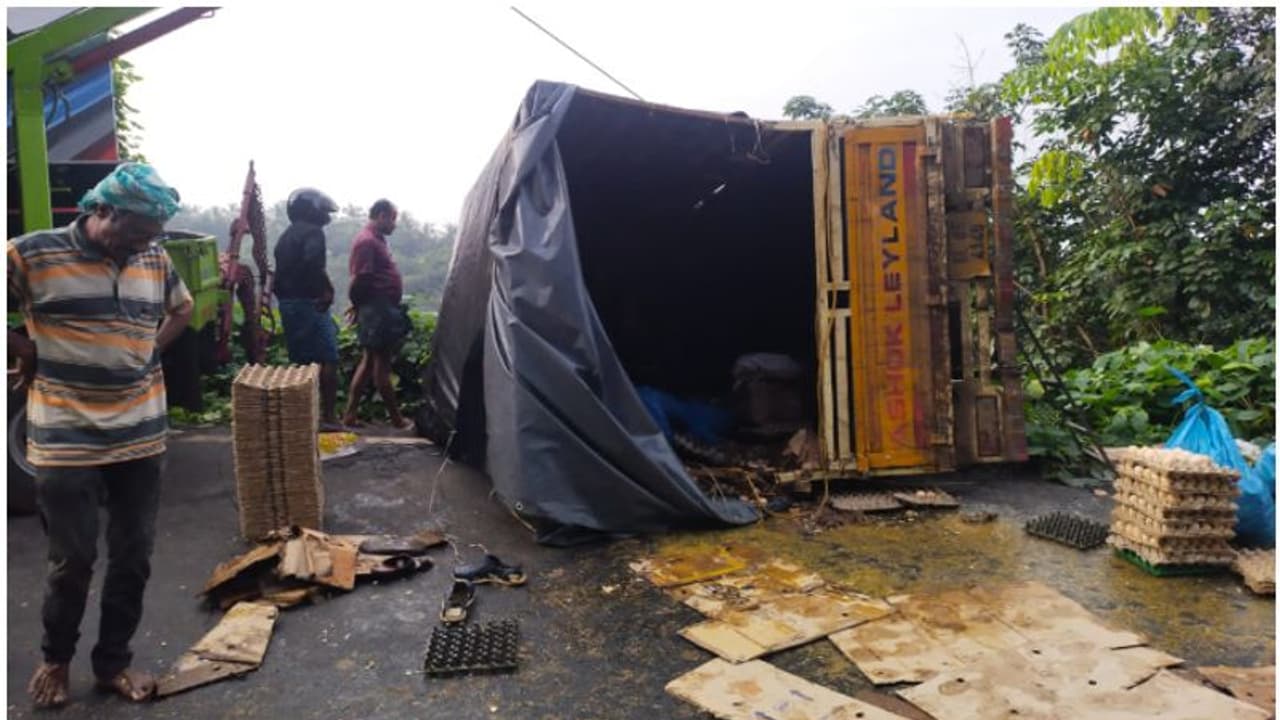 ചുരം റോഡിൽ നൂറുക്കണക്കിന് കോഴി മുട്ടകൾ പൊട്ടിയൊലിച്ചു; അപകടത്തിൽപ്പെട്ടത് മുട്ട കയറ്റി എത്തിയ മിനി ലോറി 