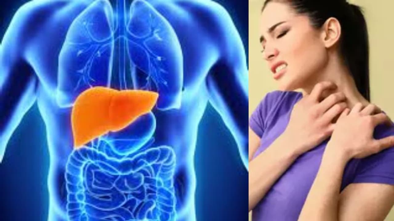 നിങ്ങളുടെ കരള് അപകടത്തിലാണെന്നതിന്റെ സൂചനയാണ് ഈ ലക്ഷണങ്ങള്... നിങ്ങളുടെ കരള് അപകടത്തിലാണെന്നതിന്റെ സൂചനയാണ് ഈ ലക്ഷണങ്ങള്...