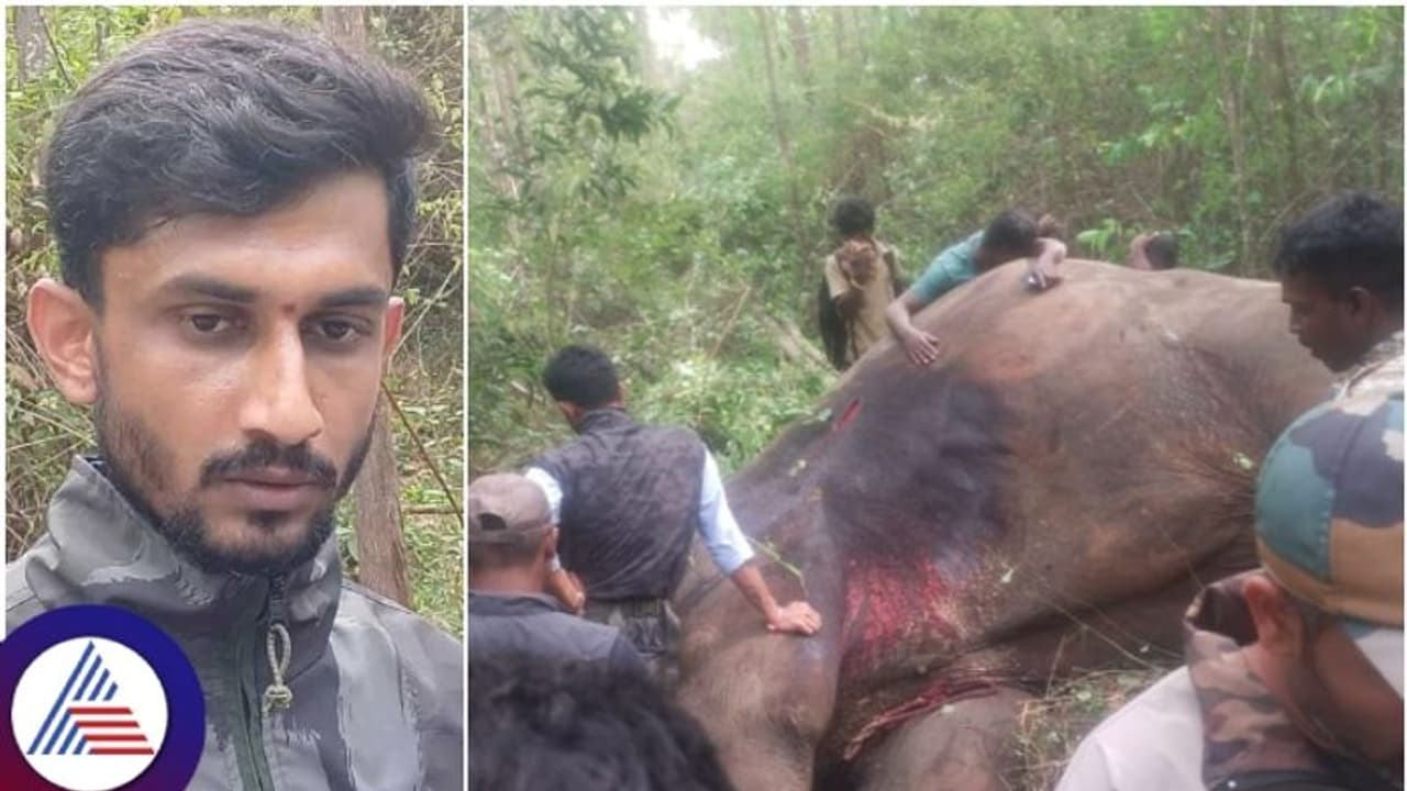 ಅರ್ಜುನ ಆನೆಗೆ ಗುಂಡು ಬಿತ್ತಾ.? ಸಾವಿನ ವಿವಾದಕ್ಕೆ ಸ್ಪಷ್ಟನೆ ಕೊಟ್ಟ ವೈದ್ಯ ರಮೇಶ್! ಅರ್ಜುನ ಆನೆಗೆ ಗುಂಡು ಬಿತ್ತಾ.? ಸಾವಿನ ವಿವಾದಕ್ಕೆ ಸ್ಪಷ್ಟನೆ ಕೊಟ್ಟ ವೈದ್ಯ ರಮೇಶ್!