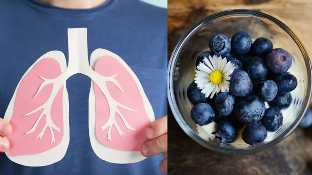 മഞ്ഞുകാലത്ത് ശ്വാസകോശത്തിന്റെ ആരോഗ്യത്തിനായി കഴിക്കാം ഈ എട്ട് ഭക്ഷണങ്ങള്... മഞ്ഞുകാലത്ത് ശ്വാസകോശത്തിന്റെ ആരോഗ്യത്തിനായി കഴിക്കാം ഈ എട്ട് ഭക്ഷണങ്ങള്...