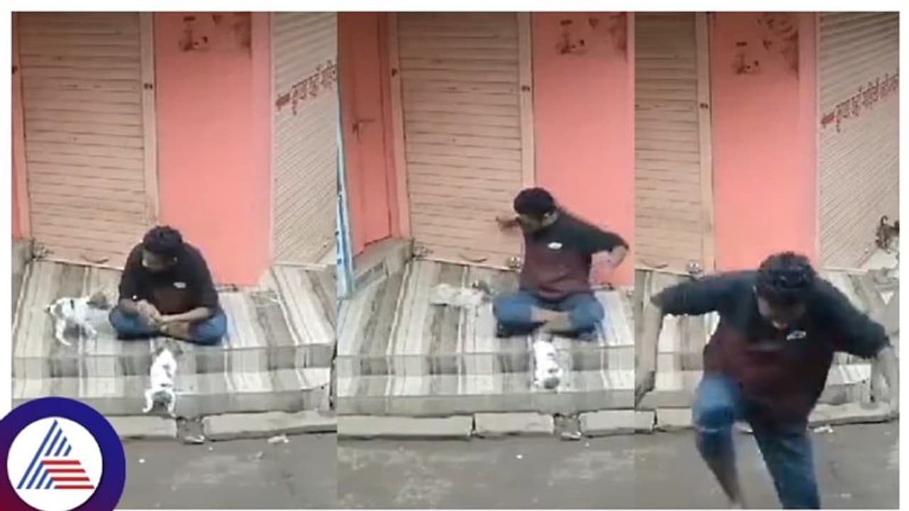 ಮುದ್ದು ಮಾಡಲು ಬಳಿ ಬಂದ ನಾಯಿಮರಿಯನ್ನು ಹೊಡೆದು ಕೊಂದ ಪಾಪಿ! ಮುದ್ದು ಮಾಡಲು ಬಳಿ ಬಂದ ನಾಯಿಮರಿಯನ್ನು ಹೊಡೆದು ಕೊಂದ ಪಾಪಿ!