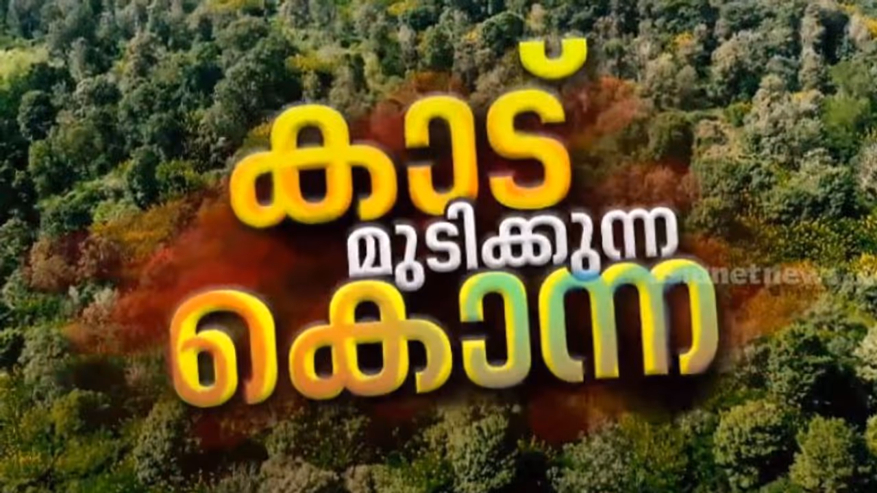 മഞ്ഞക്കൊന്ന മുറിക്കും, പക്ഷേ ആര് വേരോടെ പിഴുതെറിയും? വനം വകുപ്പുണ്ടാക്കിയ കരാറിനെതിരെ വിമർശനം
