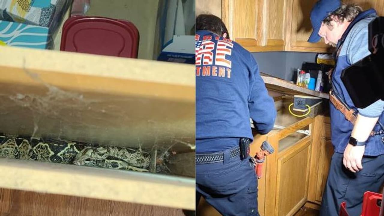 അയ്യോ എന്റെ നാഗിനിയെ രക്ഷിക്കണേ, ഫയർഫോഴ്സിലേക്ക് കോൾ, നാഗിനിയെ കണ്ട് ഞെട്ടി ഉദ്യോഗസ്ഥർ അയ്യോ എന്റെ നാഗിനിയെ രക്ഷിക്കണേ, ഫയർഫോഴ്സിലേക്ക് കോൾ, നാഗിനിയെ കണ്ട് ഞെട്ടി ഉദ്യോഗസ്ഥർ