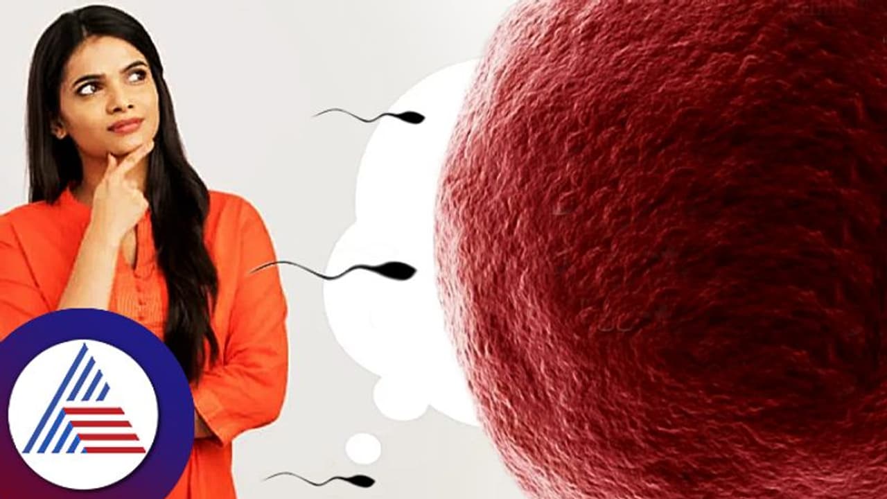 ಎಗ್ ಫ್ರೀಜಿಂಗ್: ಮಕ್ಕಳು ಮಾಡಿ ಕೊಳ್ಳೋ ಪ್ಲ್ಯಾನ್ ಈಗಿಲ್ಲವೆಂದರೆ, ಭವಿಷ್ಯದ ಬಗ್ಗೆ ಯೋಚಿಸ್ಬೇಡಿ!