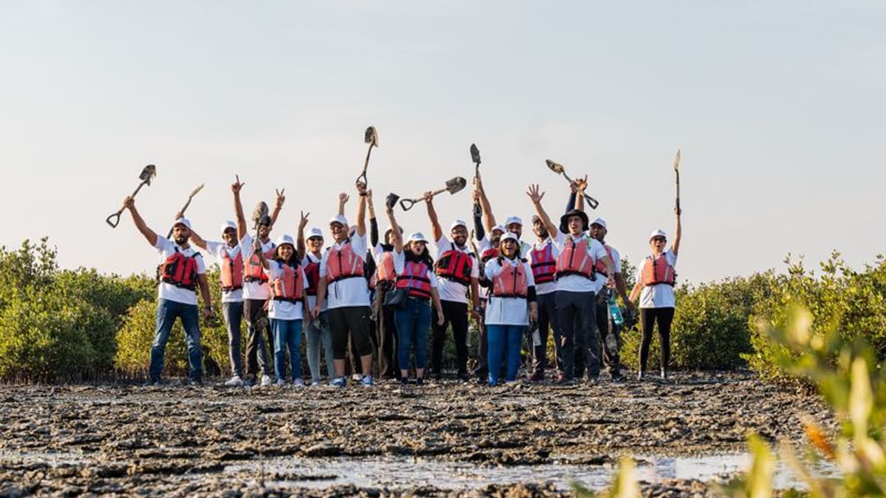 പരിസ്ഥിതിക്ക് തണലാകണം; കണ്ടൽച്ചെടികൾ നട്ട് മഹ്സൂസ് പരിസ്ഥിതിക്ക് തണലാകണം; കണ്ടൽച്ചെടികൾ നട്ട് മഹ്സൂസ്