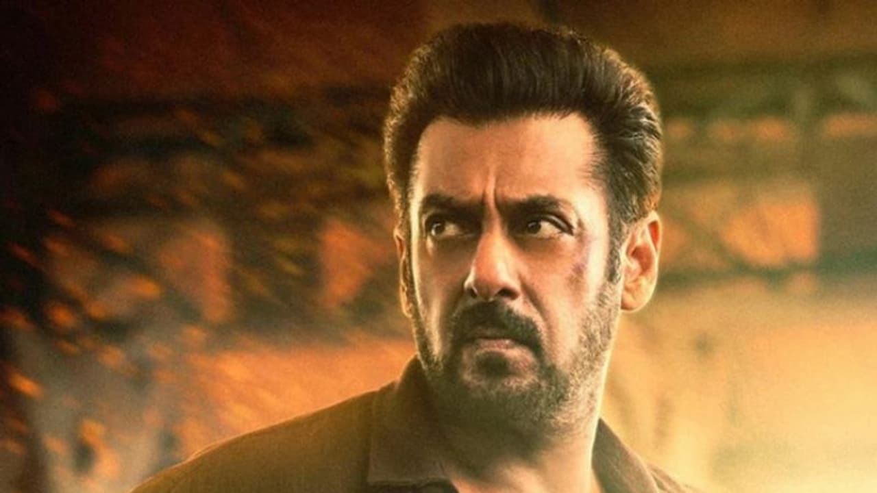 സല്‍മാൻ നേട്ടമുണ്ടാക്കിയോ?, ടൈഗര്‍ 3യുടെ കളക്ഷൻ പുറത്ത്, ഒരു മാസത്തില്‍ ആകെ നേടിയത്