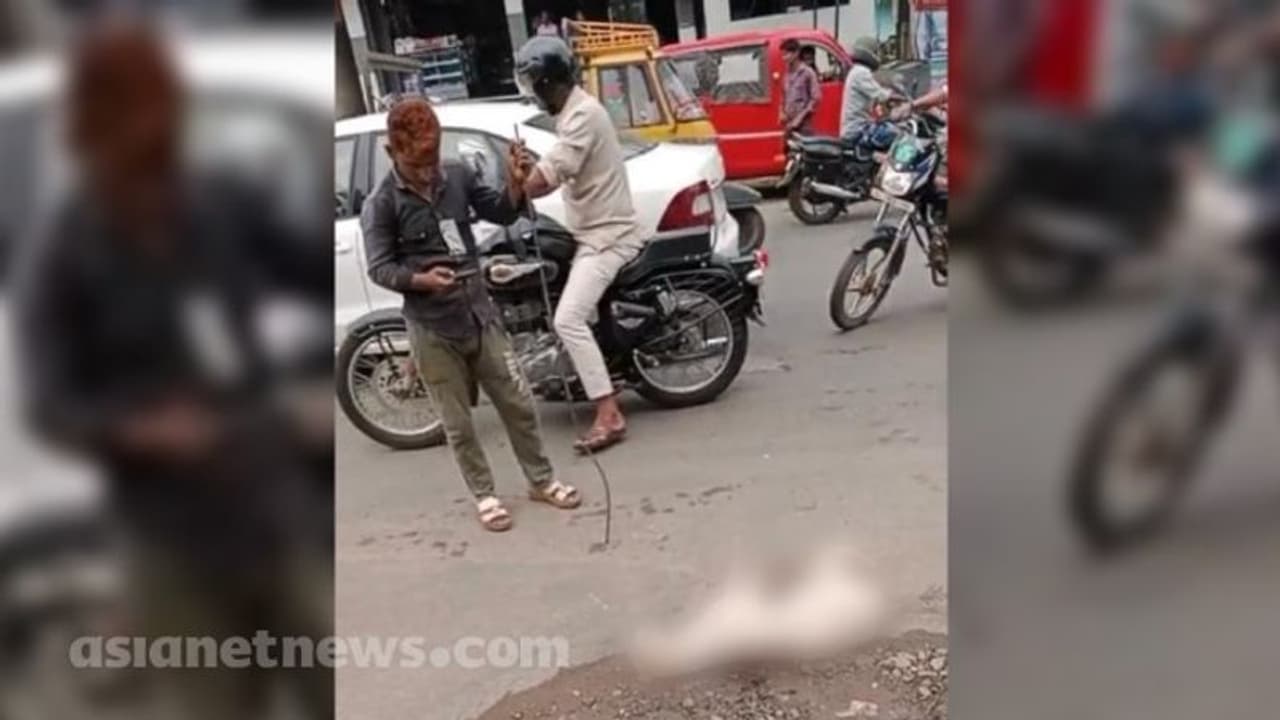 പാലക്കാട് തെരുവുനായയെ തല്ലിക്കൊന്ന സംഭവം; കേസെടുത്ത് പൊലീസ് പാലക്കാട് തെരുവുനായയെ തല്ലിക്കൊന്ന സംഭവം; കേസെടുത്ത് പൊലീസ്