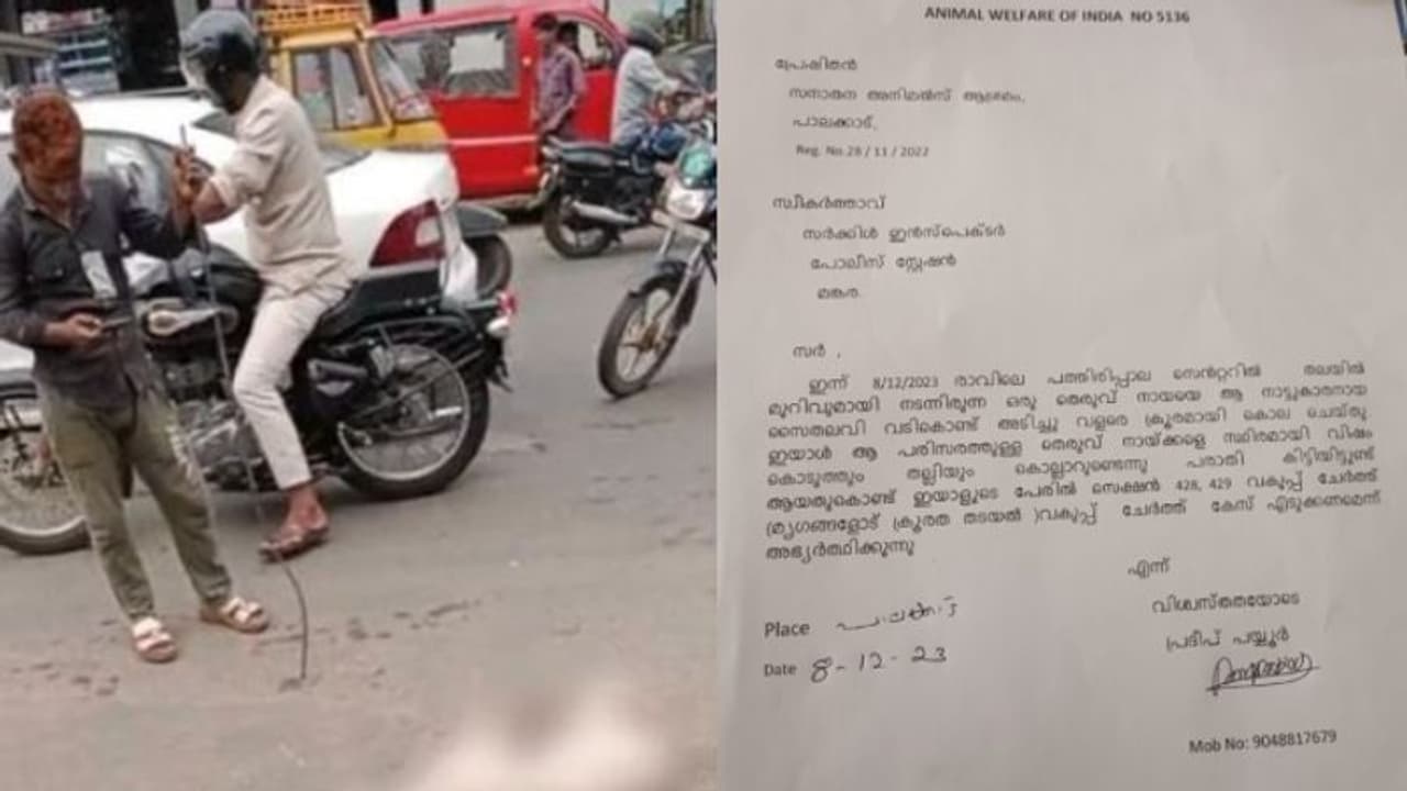 കമ്പിവടികൊണ്ട് തലക്കടിച്ചു, 'വിഷം കൊടുത്ത് കൊല്ലുന്നത് പതിവ്', പാലക്കാട്ട് തെരുവുനായയെ കൊന്നയാൾക്ക് കേസ് കമ്പിവടികൊണ്ട് തലക്കടിച്ചു, 'വിഷം കൊടുത്ത് കൊല്ലുന്നത് പതിവ്', പാലക്കാട്ട് തെരുവുനായയെ കൊന്നയാൾക്ക് കേസ്