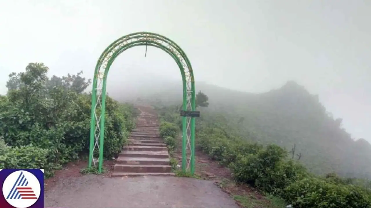 Year end tourists, take note: Chikkamagaluru closed for 6 days in December; Here's why Year end tourists, take note: Chikkamagaluru closed for 6 days in December; Here's why