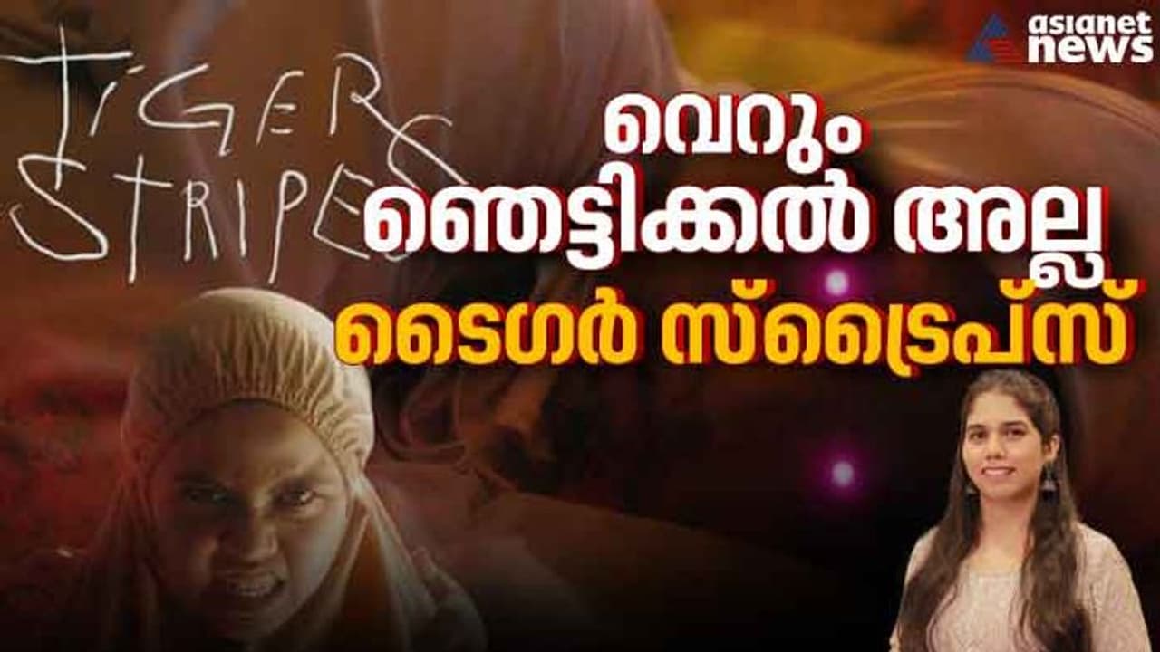 'ബോഡി ഹൊറർ'; പരിവർത്തനത്തിന്റെ ഭീകരത നിറച്ച് ടൈഗർ സ്ട്രൈപ്സ്