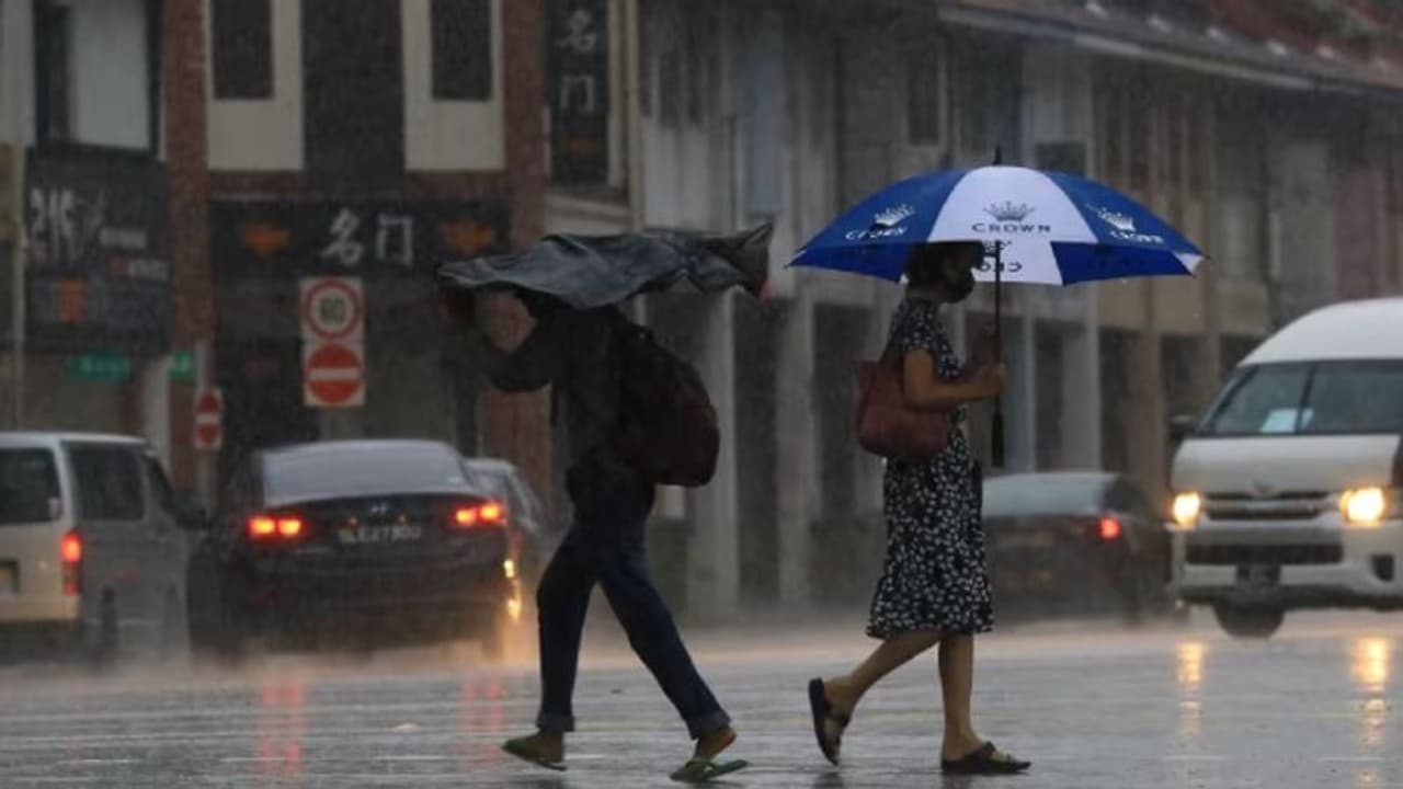 மார்ச் 2024 வரை வானிலை இப்படி தான் இருக்கும்.. கொஞ்சம் கவனம் தேவை சிங்கப்பூரர்களை அலெர்ட் செய்த அரசு! மார்ச் 2024 வரை வானிலை இப்படி தான் இருக்கும்.. கொஞ்சம் கவனம் தேவை சிங்கப்பூரர்களை அலெர்ட் செய்த அரசு!