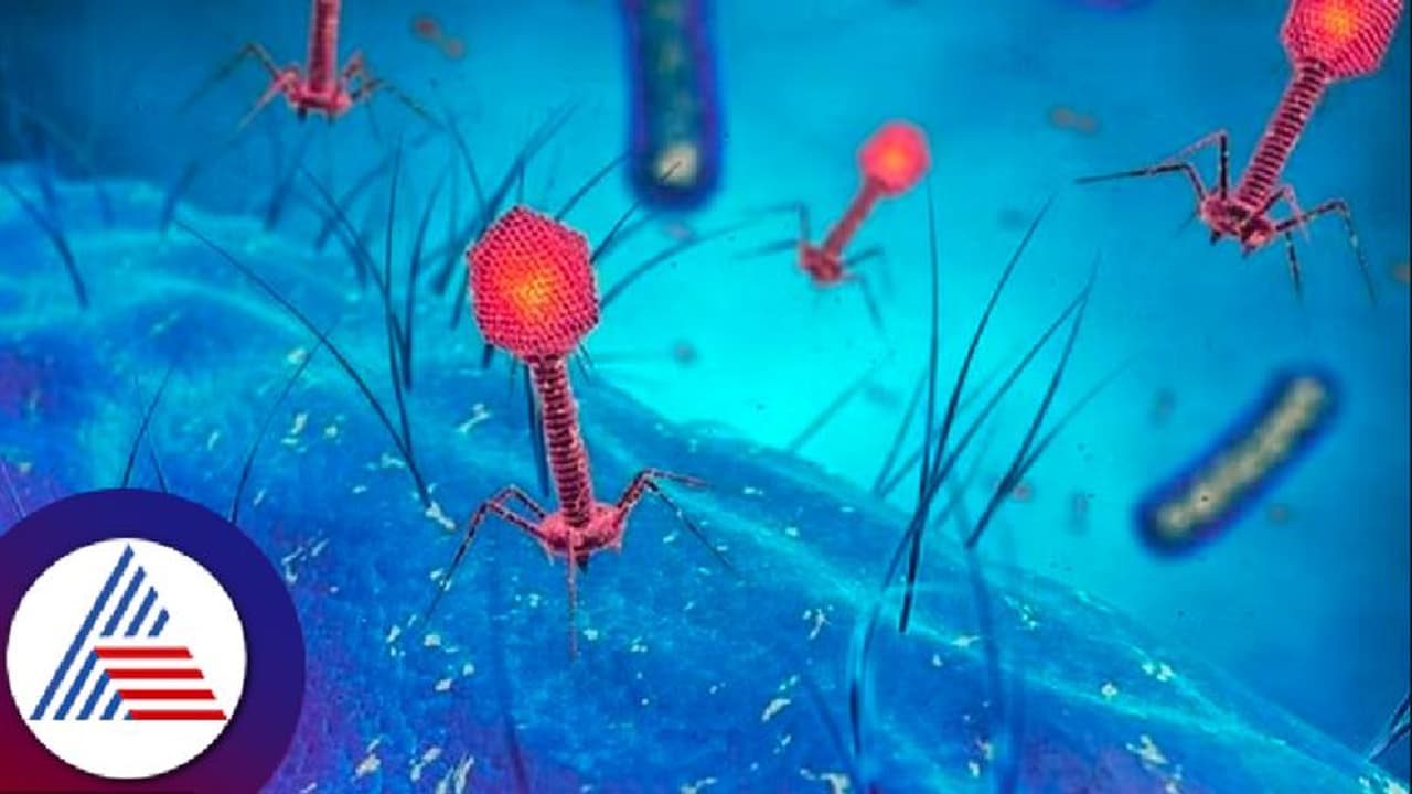 ತೀರ್ಥಹಳ್ಳಿಯಲ್ಲಿ ಕೆಎಫ್​ಡಿ ಮೊದಲ ಪ್ರಕರಣ ಪತ್ತೆ,! ಏನಿದು ಕ್ಯಾಸನೂರು ಫಾರೆಸ್ಟ್​ ಡಿಸೀಸ್? 