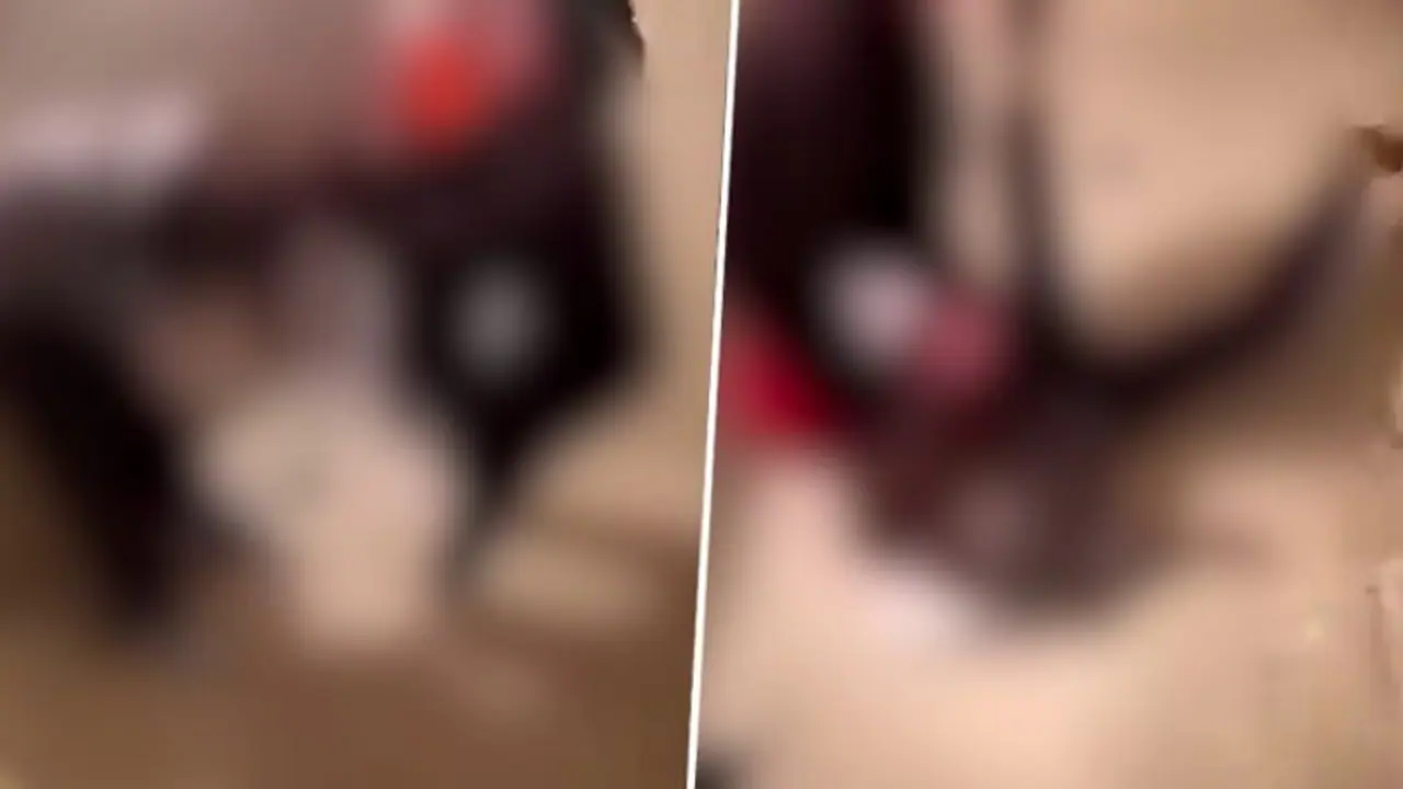 Brutal assault on 13 year old schoolgirl sparks outrage and police investigation in France's Lyon (WATCH) Brutal assault on 13 year old schoolgirl sparks outrage and police investigation in France's Lyon (WATCH)